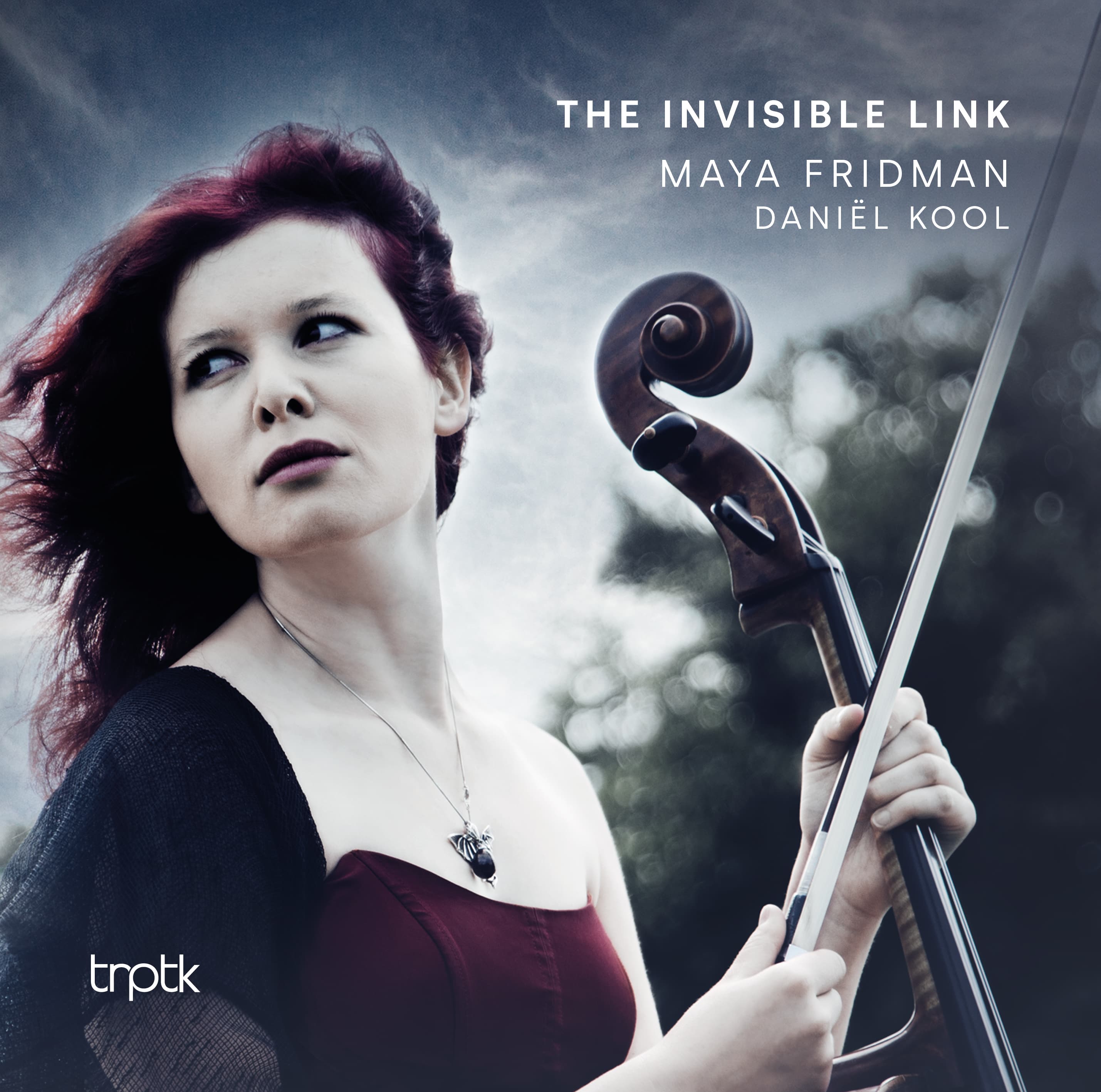 Maya Fridman - The Invisible Link